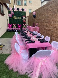 174709592 4101677806561300 7511105369118421589 n 1667597238 Kids Chair Cover & TUTU Set