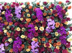 336213977 706879167803400 5685563244555254883 n 1679950304 Flower Wall - Athena