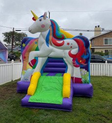 242281690 4553357508059992 7103324193933626636 n 1669939436 Toddler Unicorn Slide