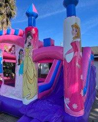 2E897FE6 16BD 4C52 9B85 B3BB682A4D2B 1648160250 Princess Mini Obstacle