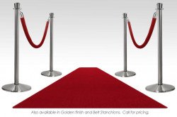 rope stanchion image v31 1676333124 Prom #P1