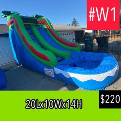 212330201 4335187659876979 3255918244575472805 n 1670098394 #W1 Palm Tree Waterslide