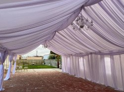 223493406 4384855401576871 8383163142051834958 n 1640552634 Draping & Tent 20x40