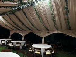 336882427 1208938319739240 2861535897751271567 n 1680739106 Tent Greenery