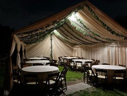 337026896 227459753140964 596739420276525948 n 1680739107 Tent Greenery