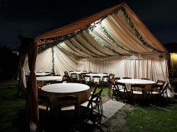 337248976 876518126751629 7547995417709996620 n 1680739106 Tent Greenery