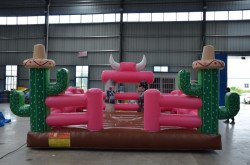 305223411 689308896146418 5805594380736135901 n 1666550606 Unicorn Mechanical Bull