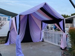 260225616 4769779346417806 7229221742167079348 n 1666904876 Draping & Tent 10x10