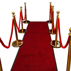 Red Carpet Bundle