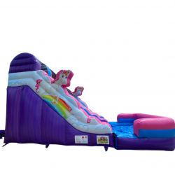 14Ft Unicorn Slide (Dry)