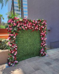 448780972 18357411436103341 6490788935005272152 n 1718915743 Flower Wall - Encanto