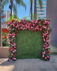 448810202 18357411373103341 8742692977388299566 n 1718915743 Flower Wall - Encanto