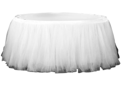 Tulle Skirt