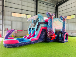 453557195 524498473253464 708421748355530017 n 1726696063 Mermaid Slide (Wet)