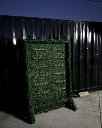 500426925 18408066991103341 8815333903641981065 n 1748296789 Champagne Wall - Green