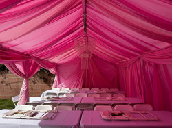 486334116 1199530595514204 3214594544133887911 n 1759179116 Draping & Tent 10x40