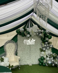 283928815 5355544507841284 8664962684631256277 n 1667424385 Throne Silver #2