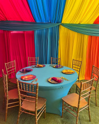 2E14EDB7 342C 4BC1 942E 4FDA14538559 1655943088 Spandex 60in Round