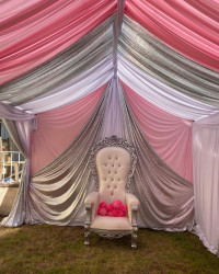 305189588 5637616416300757 204197285508268949 n 1667424711 Throne Silver #2