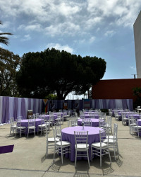 444488378 18353664205103341 4764531921464167526 n201 1718319635 1 1ft Pipe and Drape - 10ft Tall