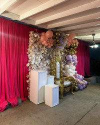 White Pedistals 464773032 18376837759103341 98994698441351587 n 1737059141 White Pedistals