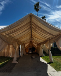 496440688 18405917053103341 9190639140448184865 n 1746820092 Draping & Tent 10x40