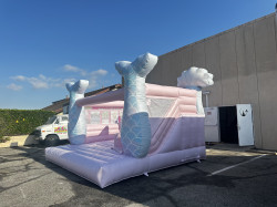 IMG 8658 1726557394 Luxury Mermaid Combo