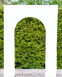 Open Arch Backdrop