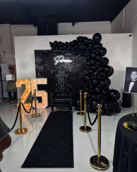 500672912 18408221224103341 7273496540676095037 n 2 1769884887 Prom #P-11