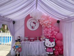 279749718 5281060675289668 7086410498948303104 n 1740952816 1Pc Chiara Wall Chiara Walls