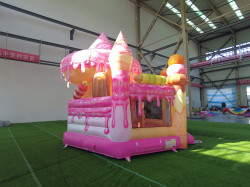 3 1772837725 IceCream Combo