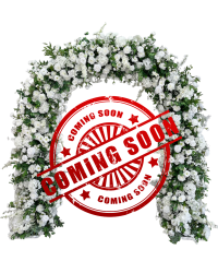 Floral Arch - White